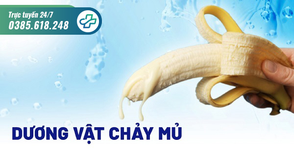 Chảy mủ dương vật – Cảnh giác nguy cơ mắc lậu và các bệnh viêm nhiễm khác