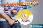 Nổi mụn ở thân dương vật – Cảnh giác 6+ bệnh lý nguy hiểm