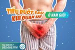 Tiểu buốt sau khi quan hệ ở nam giới – cảnh báo bệnh lý nguy hiểm