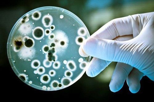 Lậu tái phát nhiều lần – Vi khuẩn kháng thuốc, phải làm sao?